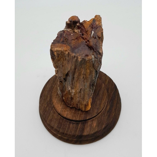 269 - A rare agatized fossil wood from the Petrified Forrest of Lesvos, of “Outstanding Universal Value” a... 