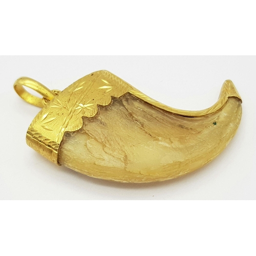 232 - Withdrawn - An Antique 22k Gold (tested) Tigers Claw Pendant. 17g total weight. 6cm x 4cm.