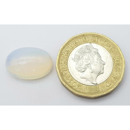 1551 - A 5.70ct Untreated Ethiopian Opal Gemstone - Oval Cabochon Shape, White with Play of Colour. Comes w... 