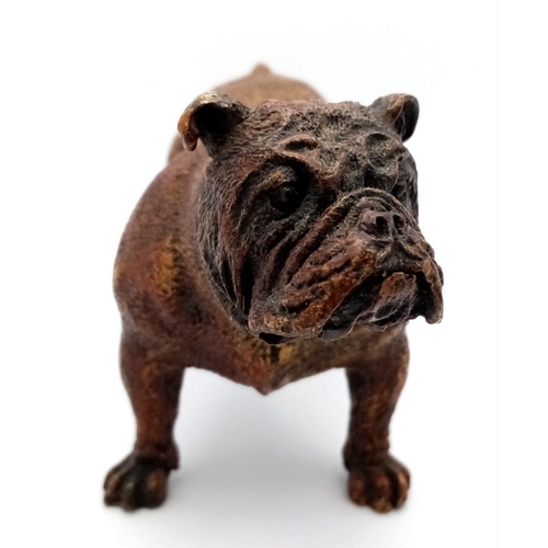 1682 - A Vintage Bronze Bulldog Figure. Markings on base of Geschutzt. 14cm x 8cm.