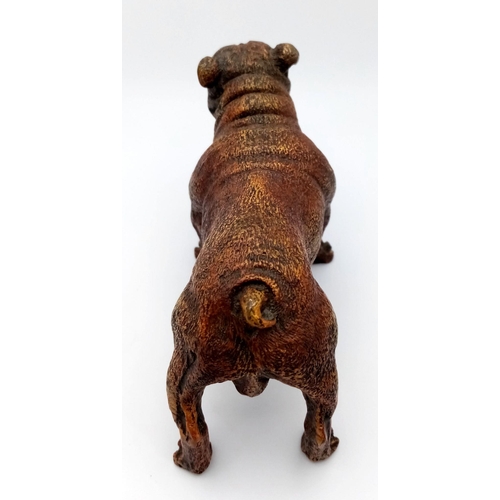 1682 - A Vintage Bronze Bulldog Figure. Markings on base of Geschutzt. 14cm x 8cm.