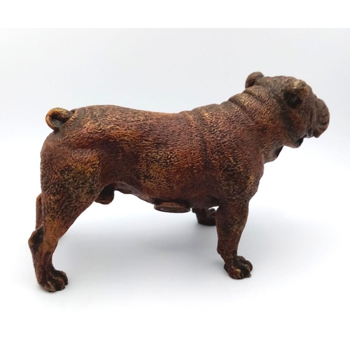 1682 - A Vintage Bronze Bulldog Figure. Markings on base of Geschutzt. 14cm x 8cm.