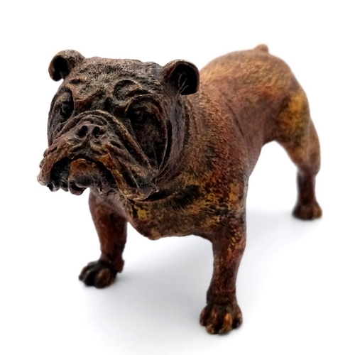 1682 - A Vintage Bronze Bulldog Figure. Markings on base of Geschutzt. 14cm x 8cm.