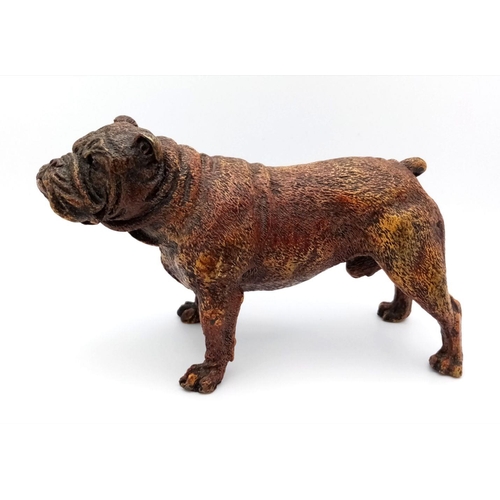 1682 - A Vintage Bronze Bulldog Figure. Markings on base of Geschutzt. 14cm x 8cm.