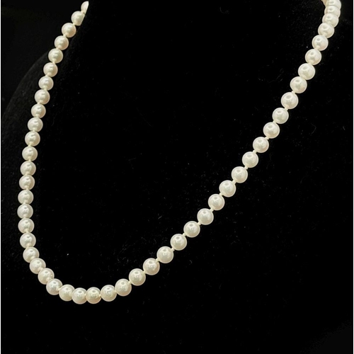 445 - A Pearl Small Bead Necklace with 14K Gold Clasp. 40cm.  Ref: STK019968