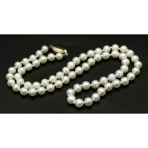 445 - A Pearl Small Bead Necklace with 14K Gold Clasp. 40cm.  Ref: STK019968