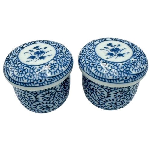 490 - A Pair of antique Chinese Blue and White Porcelain large Lidded Jars/tea bowls. Hand-painted floral ... 