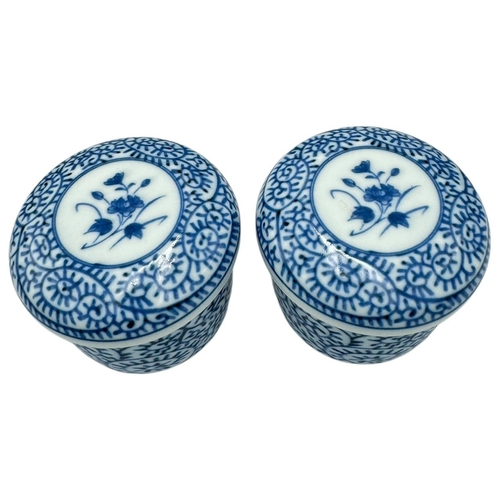 490 - A Pair of antique Chinese Blue and White Porcelain large Lidded Jars/tea bowls. Hand-painted floral ... 