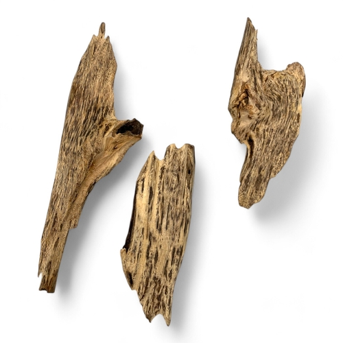 1135 - Three pieces of high quality Natural Agarwood Roots in its original form! Quang Nam Province. 
The n... 