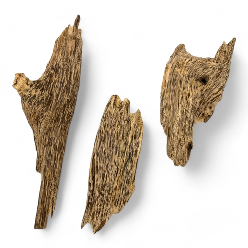 1135 - Three pieces of high quality Natural Agarwood Roots in its original form! Quang Nam Province. 
The n... 