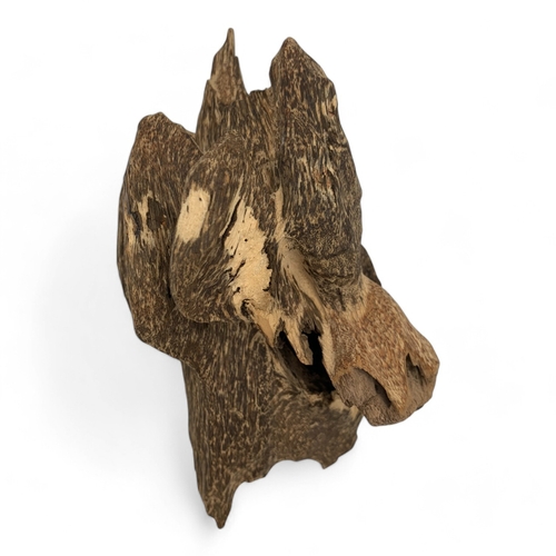 988 - A collector's piece: An Aquilaria Malaccensis Agarwood Sculpture, high quality large Natural Agarwoo... 