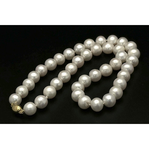 1327 - A Cultured Pearl Necklace with an 9K Gold Clasp. 12mm. 40cm. 60g