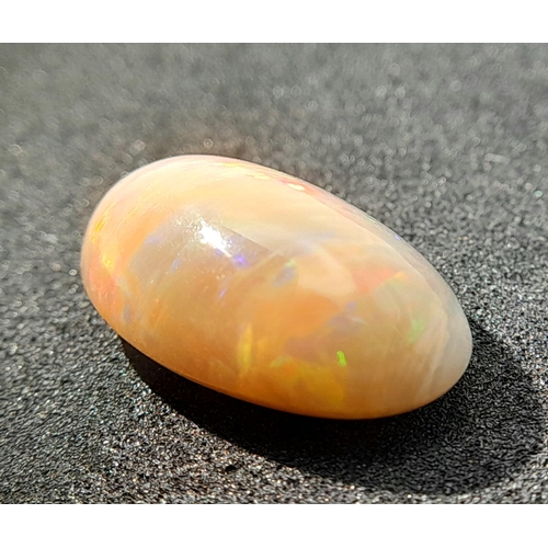 1319 - A 6.70ct Ethiopian Opal Gemstone - GFCO Certified