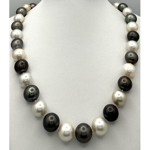 289 - A Tahitian and South Sea Pearl Necklace with an 18K White Gold Clasp. Pearls 12/14mm. 112g total wei... 