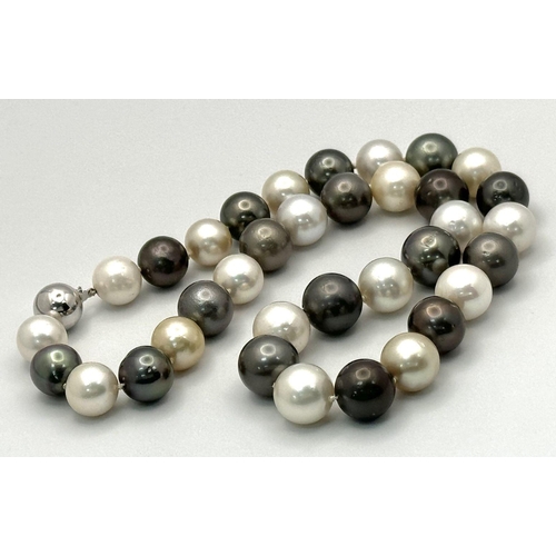 289 - A Tahitian and South Sea Pearl Necklace with an 18K White Gold Clasp. Pearls 12/14mm. 112g total wei... 