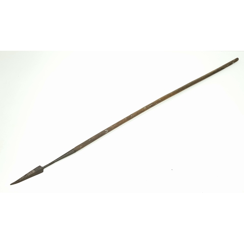 853 - A Victorian Period African Long Stabbing Spear.