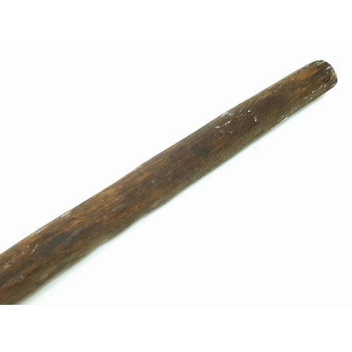 853 - A Victorian Period African Long Stabbing Spear.