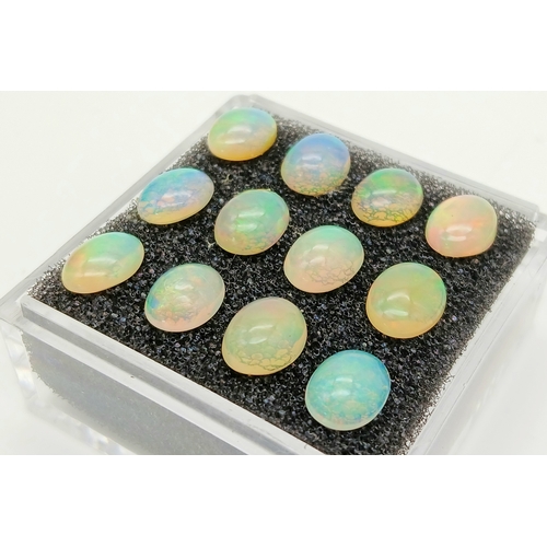 206 - A dozen of top quality, Australian, oval cabochon OPALS, dimensions: 9 x 7 mm, exhibiting excellent ... 