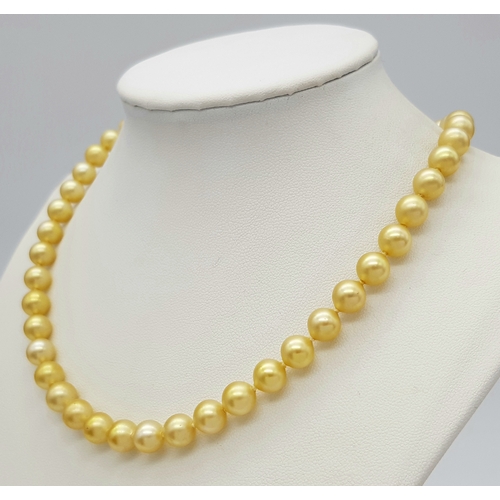 241 - A gorgeous, vintage, single strand of “Mallorca” cream pearl necklace by ORQUIDEA, with silver clasp... 