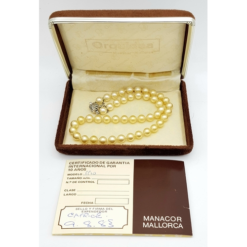 241 - A gorgeous, vintage, single strand of “Mallorca” cream pearl necklace by ORQUIDEA, with silver clasp... 