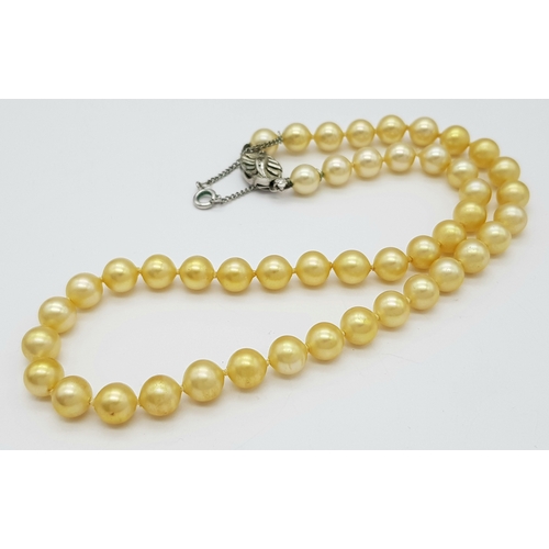 241 - A gorgeous, vintage, single strand of “Mallorca” cream pearl necklace by ORQUIDEA, with silver clasp... 