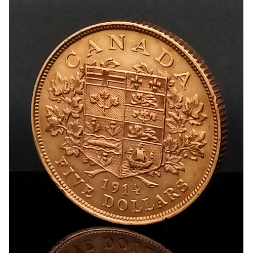 81 - A 1914 CANADIAN 5 DOLLAR COIN. 22K GOLD. 8.3G. C-5026