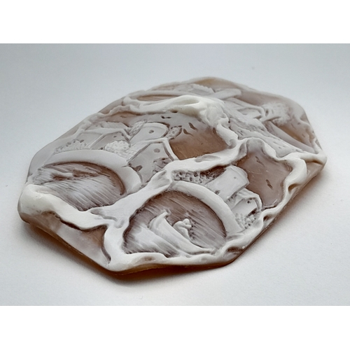 1315 - A CAMEO SHELL. 46MM X 60MM. M40.