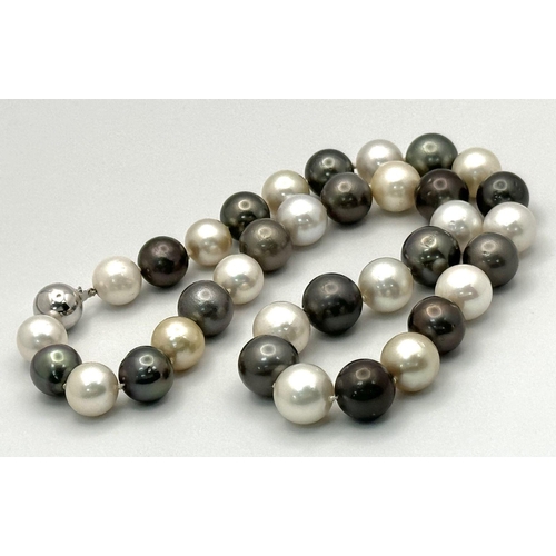 42 - A Tahitian and South Sea Pearl Necklace with an 18K White Gold Clasp. Pearls 12/14mm. 112g total wei... 