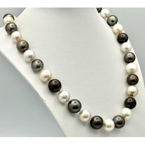 42 - A Tahitian and South Sea Pearl Necklace with an 18K White Gold Clasp. Pearls 12/14mm. 112g total wei... 