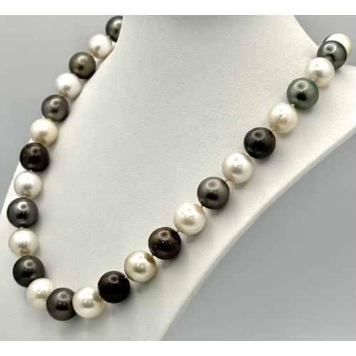 42 - A Tahitian and South Sea Pearl Necklace with an 18K White Gold Clasp. Pearls 12/14mm. 112g total wei... 