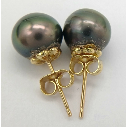 866 - A Pair of 18K Gold, Tahitian Pearl Stud Earrings. 3.2g