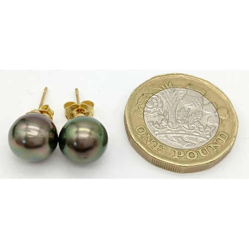 866 - A Pair of 18K Gold, Tahitian Pearl Stud Earrings. 3.2g