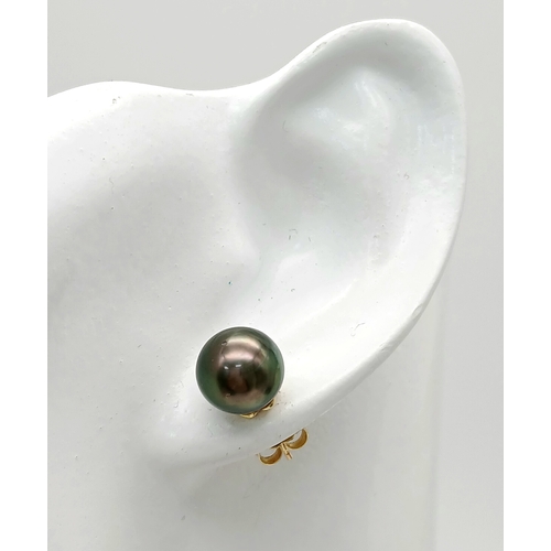 866 - A Pair of 18K Gold, Tahitian Pearl Stud Earrings. 3.2g