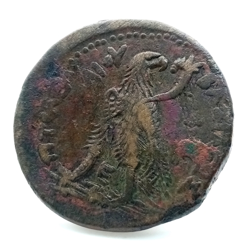162 - A Bronze Ptolemy II Philadelphos Egyptian Coin. 285-246BC. 
39mm. 40.3g.