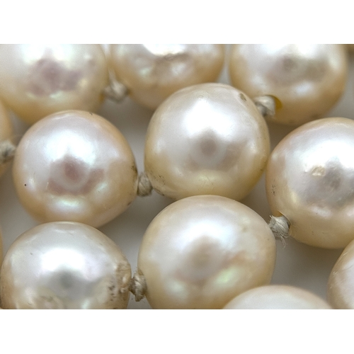 144 - A Vintage Single Strand Pearl Necklace with Elaborate 18K Gold Clasp. Pearls 6/7mm. 90cm. 40mm x 15m... 