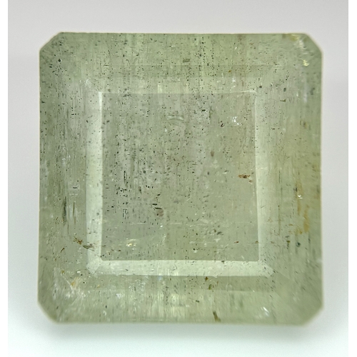 Lot 21        