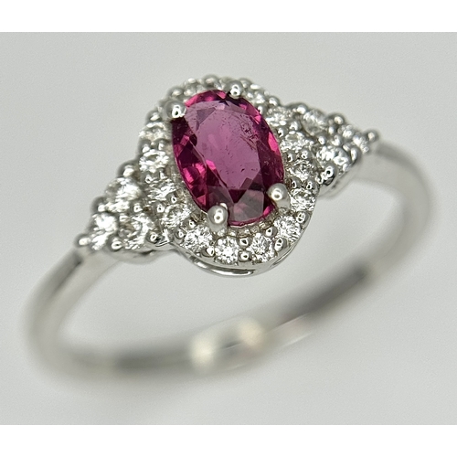 177 - An 18K White Gold, Ruby and Diamond Ring. 0.25ct oval cut high grade central ruby with a diamond clu... 