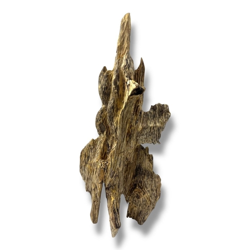 998 - A Natural Agarwood Root Formation. The natural agarwood fragrance is well known for its purposes in ... 