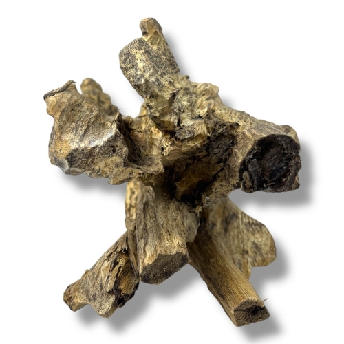 998 - A Natural Agarwood Root Formation. The natural agarwood fragrance is well known for its purposes in ... 