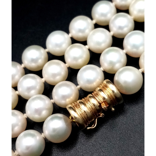 540 - A Genuine South Sea White Pearl Necklace with a 14K Yellow Gold Clasp. 8mm pearls. 68cm length. Ref:... 