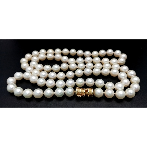 540 - A Genuine South Sea White Pearl Necklace with a 14K Yellow Gold Clasp. 8mm pearls. 68cm length. Ref:... 