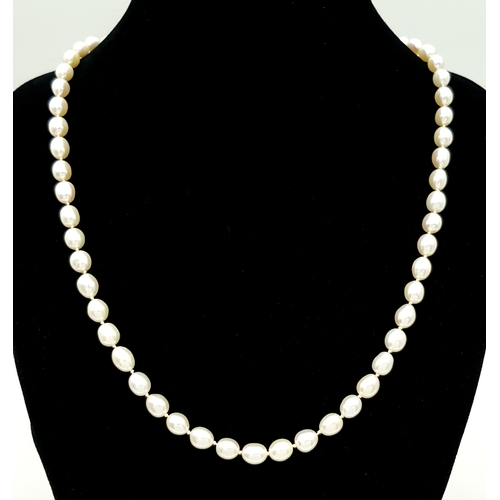 22 - A Cellini Rice Pearl Necklace with 18K Gold Clasp. 44cm length. Comes with a Cellini case.