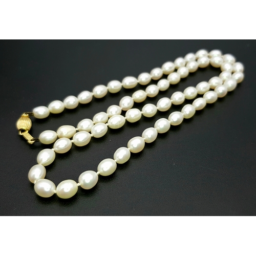 22 - A Cellini Rice Pearl Necklace with 18K Gold Clasp. 44cm length. Comes with a Cellini case.