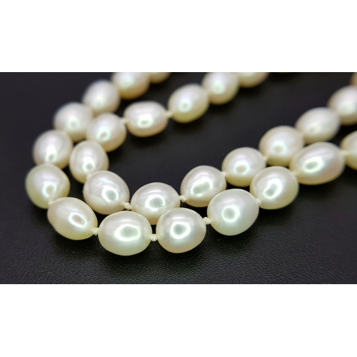 22 - A Cellini Rice Pearl Necklace with 18K Gold Clasp. 44cm length. Comes with a Cellini case.