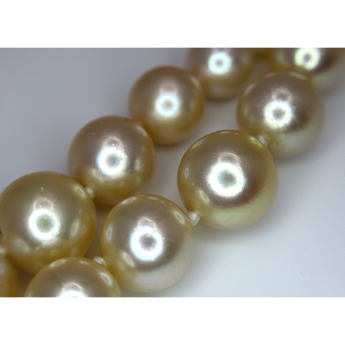 33 - A DOUBLE ROW PEARL NECKLACE WITH A PLATINUM CLASP SET WITH DIAMONDS, PEARLS AND CABACHON SAPPHIRE . ... 