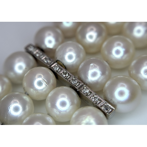 47 - A FOUR ROW AKOYA PEARL BRACELET WITH A 14K WHITE GOLD DIAMOND AND SAPPHIRE SET CLASP. A BEAUTIFUL PI... 