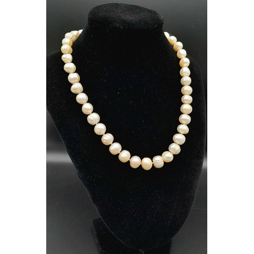 950 - A stunning Freshwater Pearl link necklace with silver-tone clasp. Total length 45cm.