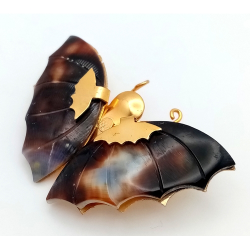 1093 - A vintage gilded butterfly brooch with tortoise shell wings. Total length 5cm.