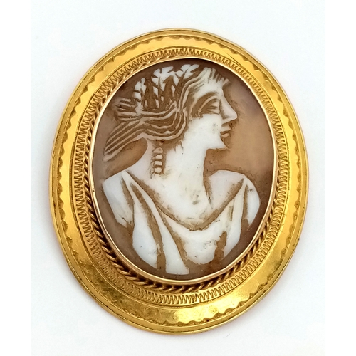 Lot 502       