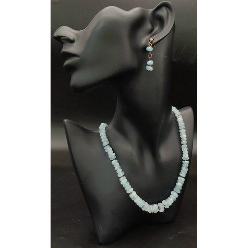 Lot 1135      